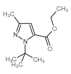 1-(叔丁基)-3-甲基-1H-吡唑-5-羧酸乙酯