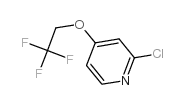 2-氯-4-(2,2,2-三氟乙氧基)-吡啶