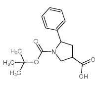 5-苯基吡咯烷-1,3-二甲酸 1-叔丁酯