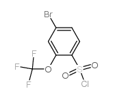 4-溴-2-三氟甲氧基苯-1-磺酰氯