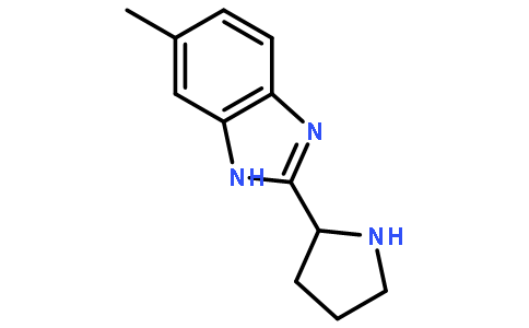 6-甲基-2-(吡咯烷-2-基)-1H-1,3-苯并二唑