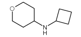环丁基-(四氢-吡喃-4-基)胺