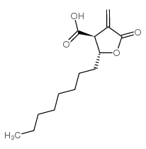 反-4-羧基-5-辛基-3-甲基-丁内酯