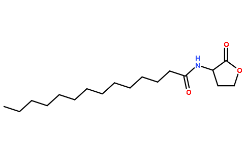 十四烷酰基-L-高丝氨酸内酯
