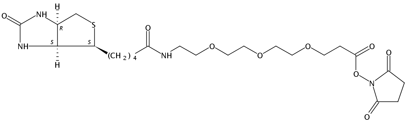 (+)-Biotin-PEG3-NHS Ester