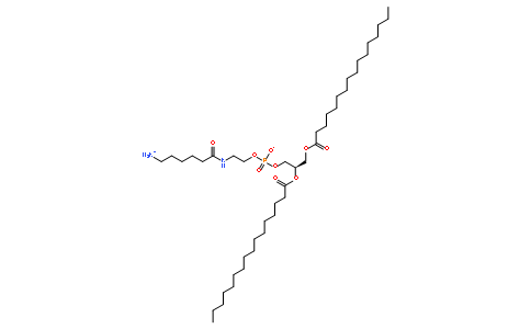 1,2-Dipalmitoyl-<i>sn</i>-Glycero-3-Phosphoethanolamine-N-(hexanoylamine)