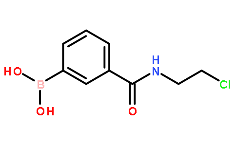 N-(2-氯乙基)-3-硼苯甲酰胺