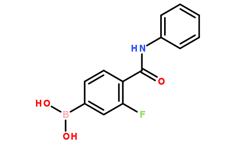 N-苯基-4-硼-2-氟苯甲酰胺