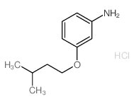 3-(3-methylbutoxy)aniline,hydrochloride