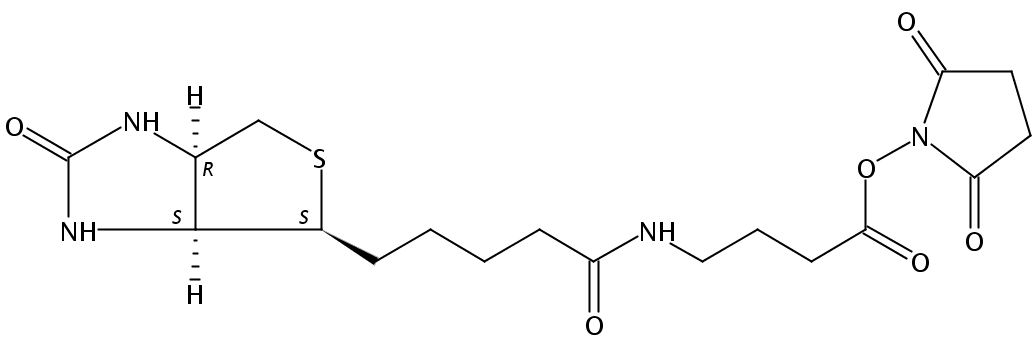 Biotin-丁氨酸-NHS
