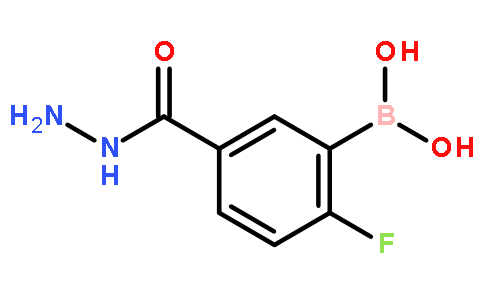 3-硼-4-氟苯酰肼