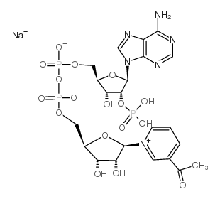 3-乙酰基吡啶腺嘌呤二核苷酸磷酸钠