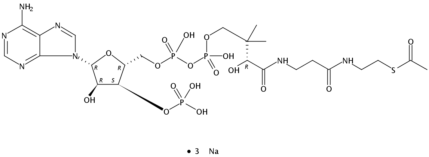 乙酰輔酶 A 鈉鹽