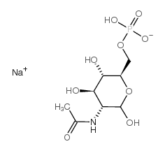 N-乙酰-D-葡糖胺-6-磷酸钠盐