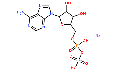 腺苷5-磷酰硫酸二钠盐