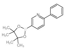 2-苯基-5-吡啶硼酸酯