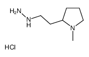 2-(2-肼基乙基)-1-甲基吡咯烷盐酸盐