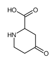 (s)-4-氧代哌啶-2-羧酸