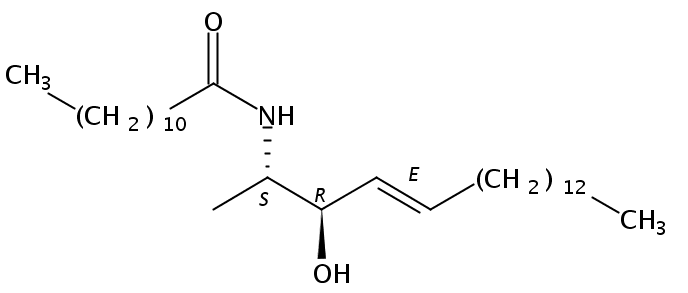 N-lauroyl-1-deoxysphingosine (m18:1/12:0)