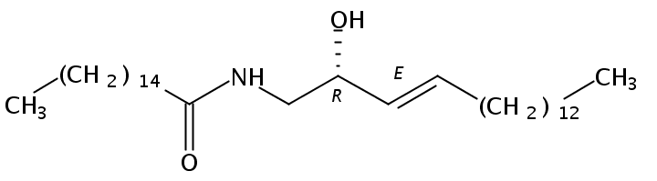 N-palmitoyl-1-desoxymethylsphingosine (m17:1/16:0)