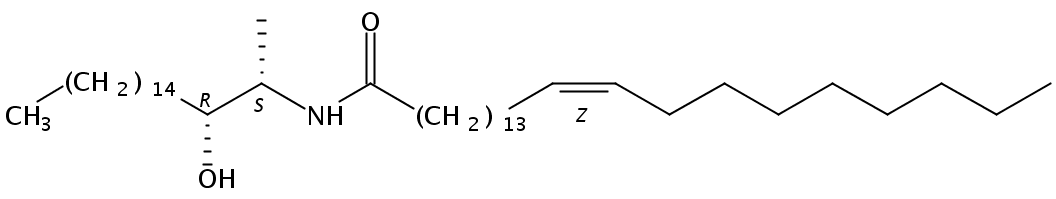 N-nervonoyl-1-deoxysphinganine (m18:0/24:1)