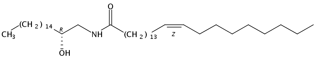N-nervonoyl-1-desoxymethylsphinganine (m17:0/24:1)