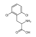2,6-二氯-DL-苯丙氨酸