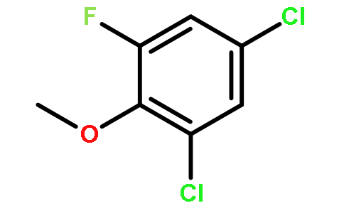 1,5-二氯-3-氟-2-甲氧基苯