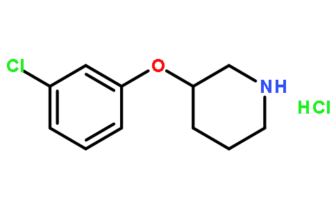 3-(3-氯苯氧基)哌啶盐酸盐