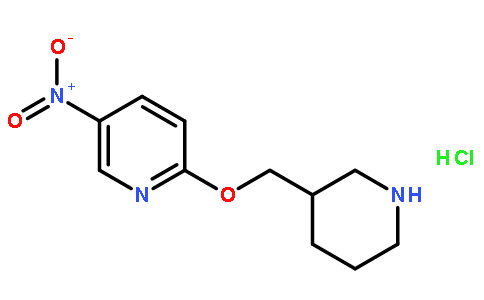 5-硝基-2-(3-哌啶基甲氧基)吡啶盐酸盐