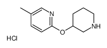 5-甲基-2-(哌啶-3-基氧基)-吡啶盐酸盐