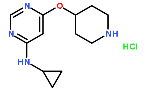 N-环丙基-6-(哌啶-4-基氧基)嘧啶-4-胺盐酸盐