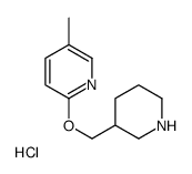 5-Methyl-2-(piperidin-3-ylmethoxy)pyridine hydrochloride