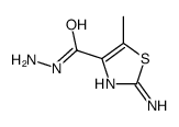 2-amino-5-methyl-1,3-thiazole-4-carbohydrazide