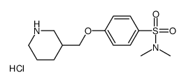 N,N-二甲基-4-(哌啶-3-基甲氧基)苯磺酰胺盐酸盐