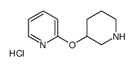 2-(哌啶-3-基氧基)-吡啶盐酸盐