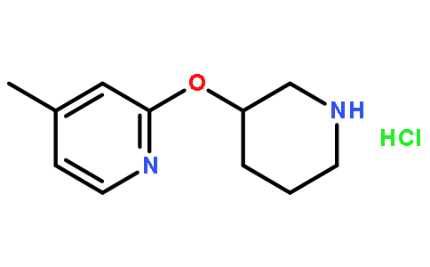4-甲基-2-(3-哌啶基氧基)吡啶盐酸盐