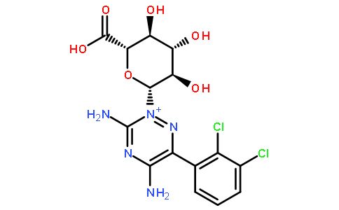 拉莫三嗪-N2-葡萄糖醛酸