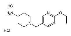 1-(6-乙氧基-吡啶-3-甲基)-哌啶-4-胺双盐酸盐