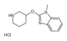 1-methyl-2-piperidin-3-yloxybenzimidazole