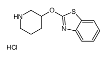 2-(哌啶-3-基氧基)-苯并噻唑盐酸盐