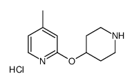 4-甲基-2-(哌啶-4-基氧基)-吡啶盐酸盐