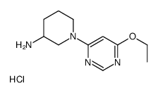 1-(6-乙氧基-嘧啶-4-基)-哌啶-3-胺盐酸盐