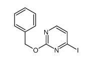 4-iodo-2-phenylmethoxypyrimidine
