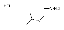 N-异丙基氮杂啶-3-胺双盐酸盐