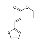 (E)-3-(2-噻吩)丙烯酸乙酯