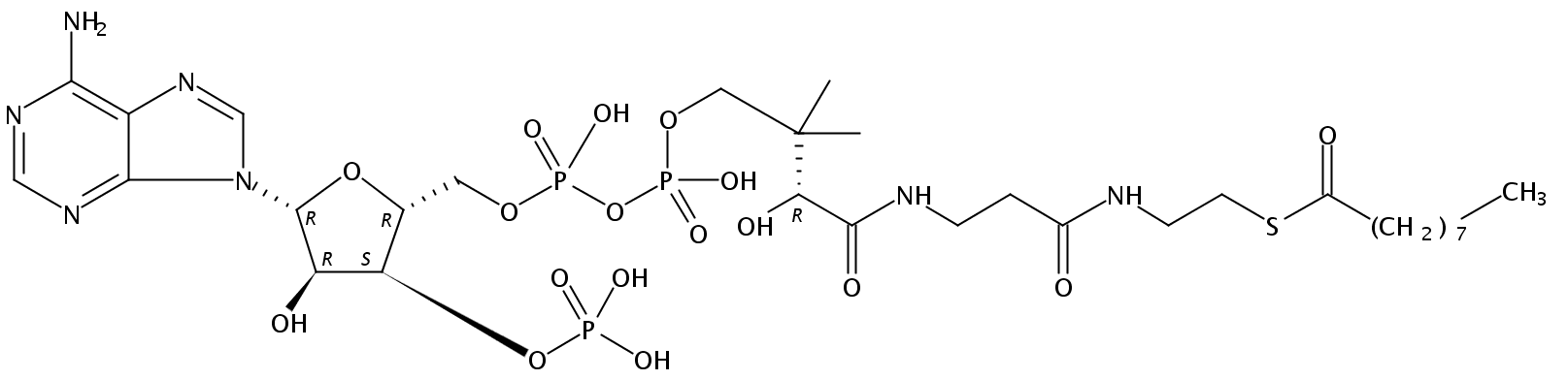壬酰-辅酶 A