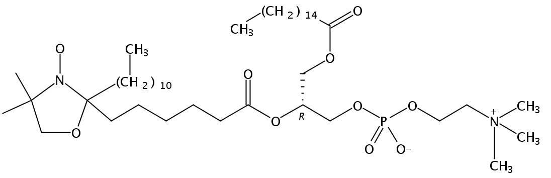 1-palmitoyl-2-stearoyl-(7-doxyl)-sn-glycero-3-phosphocholine
