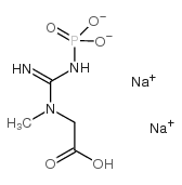 磷酸肌酸 二钠盐 水合物