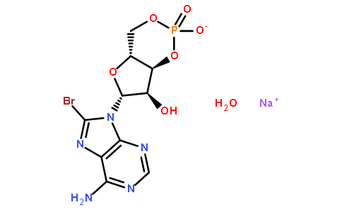 8-溴腺苷-3′,5′-环单磷酸 钠盐 一水合物